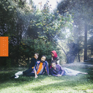 BIG THIEF: "U.F.O.F." LP