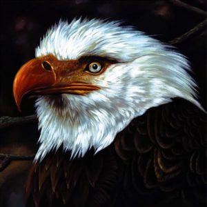 MOGWAI: "The Hawk Is Howling" limited white 2LP