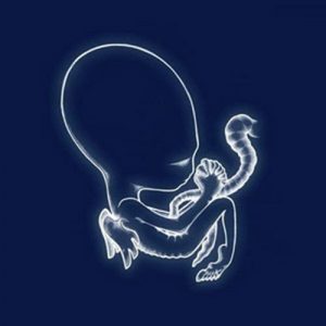 SIGUR ROS: "ágætis byrjun" 2LP.