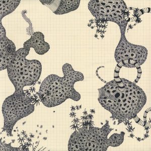 SHINS, THE: "Wincing The Night Away" LP