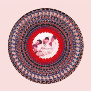 TAKE THAT: "Everything Changes" 30th Anniversary Zoetrope Picture Disc LP