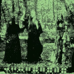 TRISTWCH Y FENYWOD: "Tristwch Y Fenywod" LP