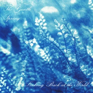 THE GENTLE SPRING: "Looking Back at The World" LP