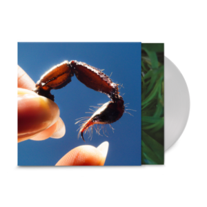 SQUID: "Cowards" limited clear LP