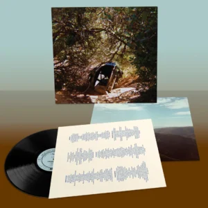 TY SEGALL: "Possession" LP