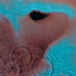 PINK FLOYD: "Meddle" LP