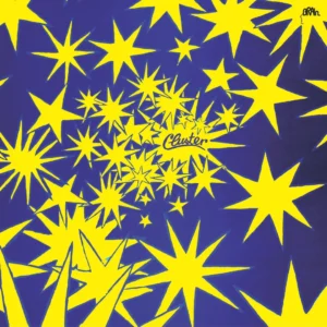 CLUSTER: "Cluster 2" LP