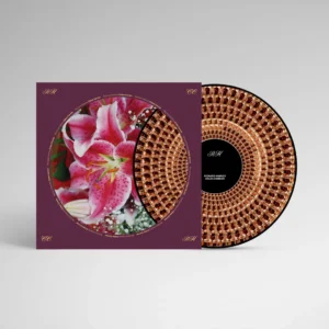 RICHARD HAWLEY: "Cole's Corner" limited zoetrope picture disc LP