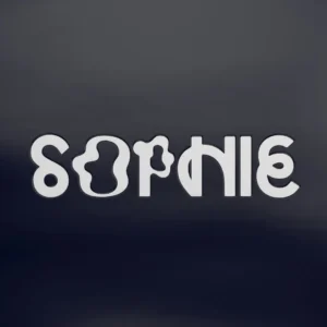 SOPHIE: "Product" LP