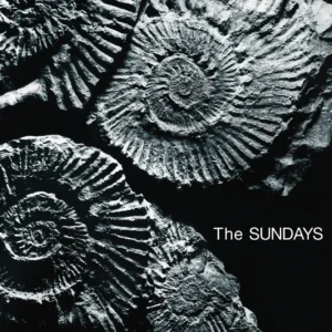 SUNDAYS, THE: "Reading, Writing And Arithmetic" limited grey LP (US Import)