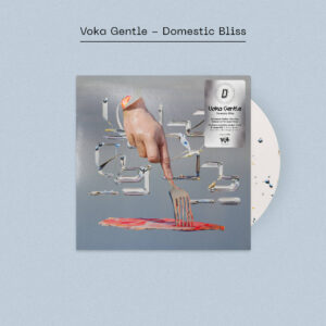 VOKA GENTLE: "Domestic Bliss" *DINKED* terrazzo LP & bonus CD