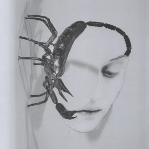 TORTOISE: "Touch" LP