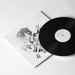 JESCA HOOP: "Selective Memory" LP