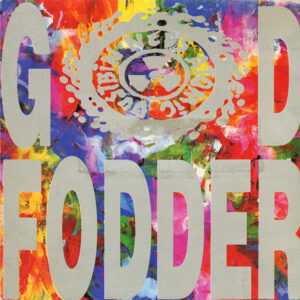 NED'S ATOMIC DUSTBIN: "God Fodder" LP