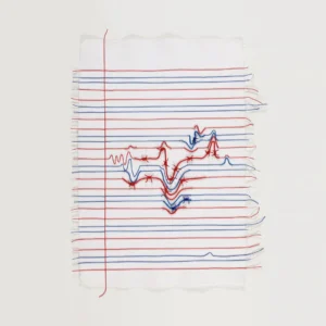 VARIOUS ARTISTS: "Passages: Artists in Solidarity with Immigrants, Refugees, and Asylum Seekers" LP