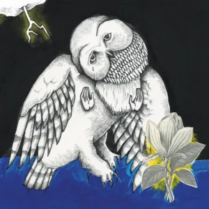 MAGNOLIA ELECTRIC CO: "Songs: Ohia" 10th Anniversary 2LP