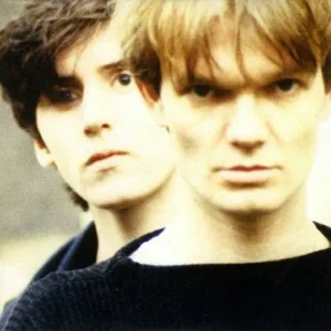 HOUSE OF LOVE: "House Of Love" limited clear 2LP