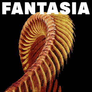 SLIFT: "Fantasia" DINKED Crystal clear 2LP & signed print. Released 5th June 2026