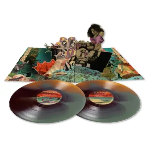 ANDERSON.PAAK: "Malibu" limited 10 year anniversary coloured 2LP