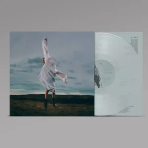 DEARY: "Birding" sky blue LP