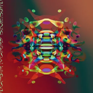 SUPER FURRY ANIMALS: "Precreation Percolation" black LP
